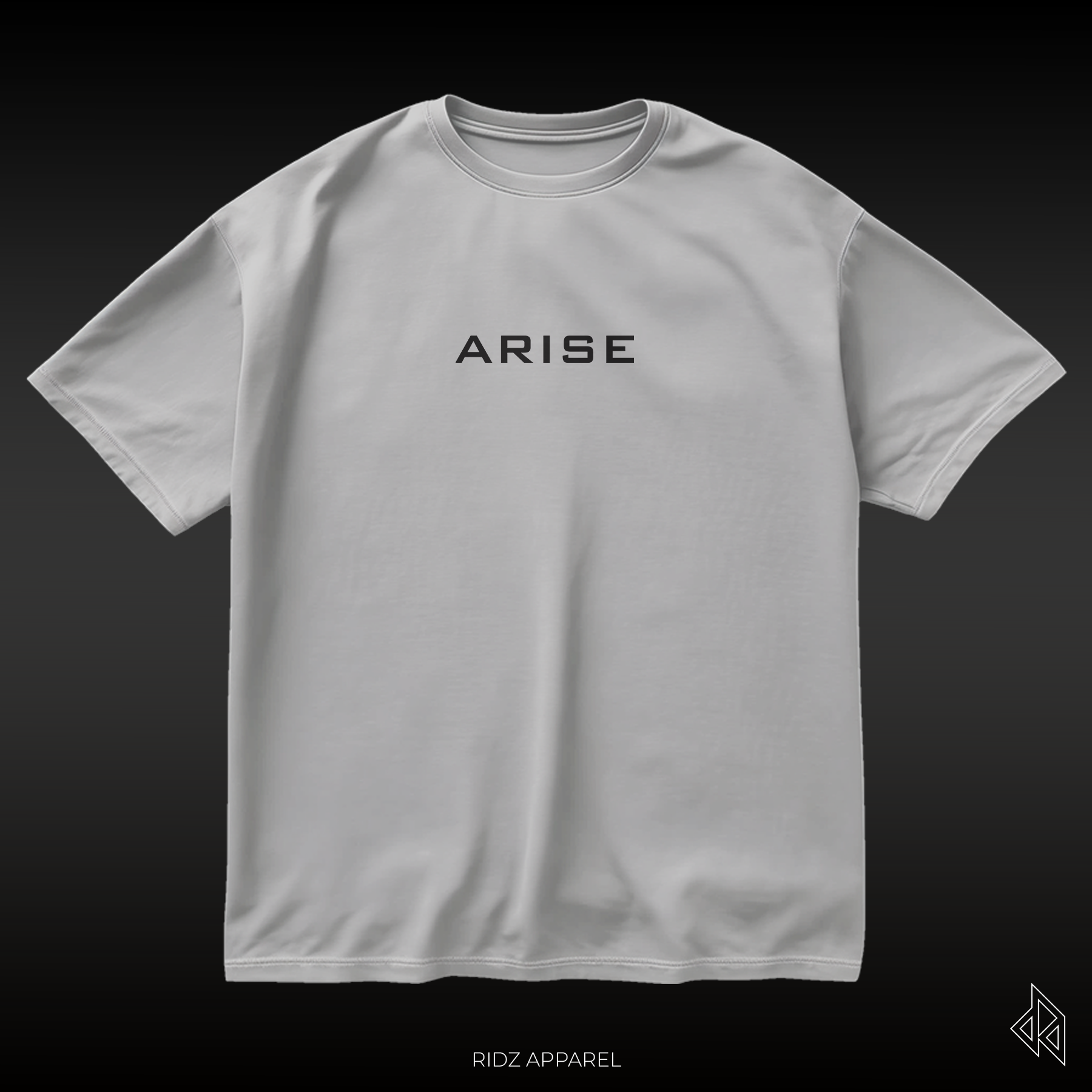 SOLO LEVELING / Statue V3